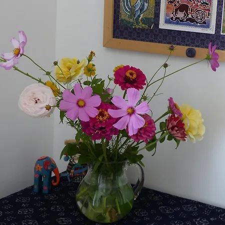 Au Bord Du Canal Bed & Breakfast Aubenas